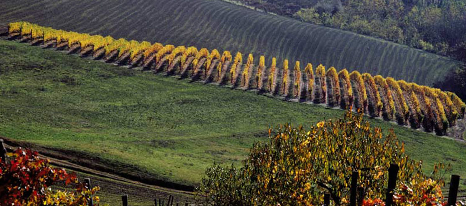 Tre Donne - Neive (CN)