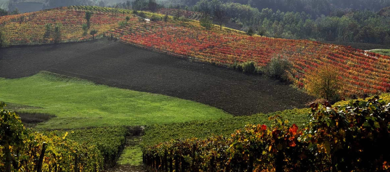 Tre Donne - Neive (CN)