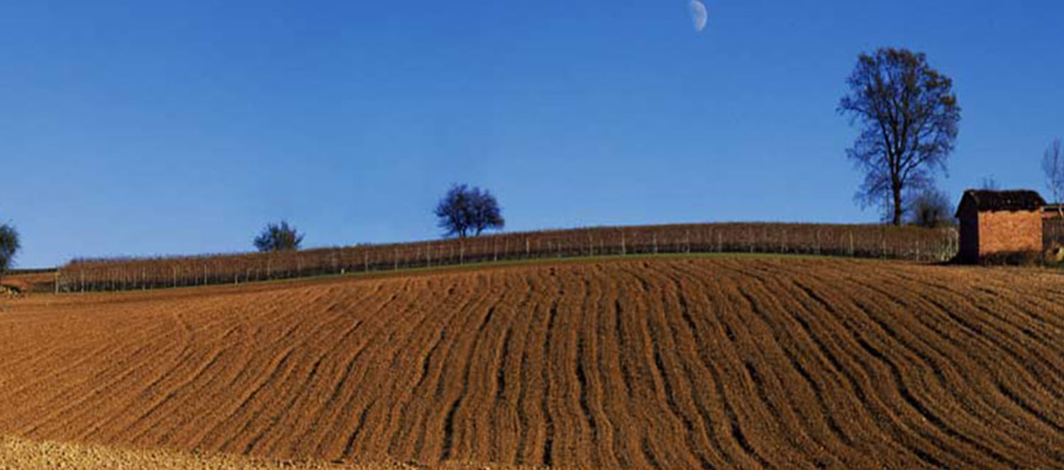 Tre Donne - Neive (CN)